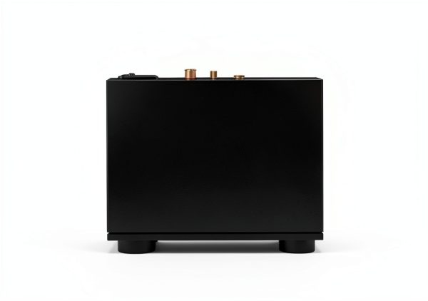Topping DX5 II Balanced DAC Amp Silver Black-8